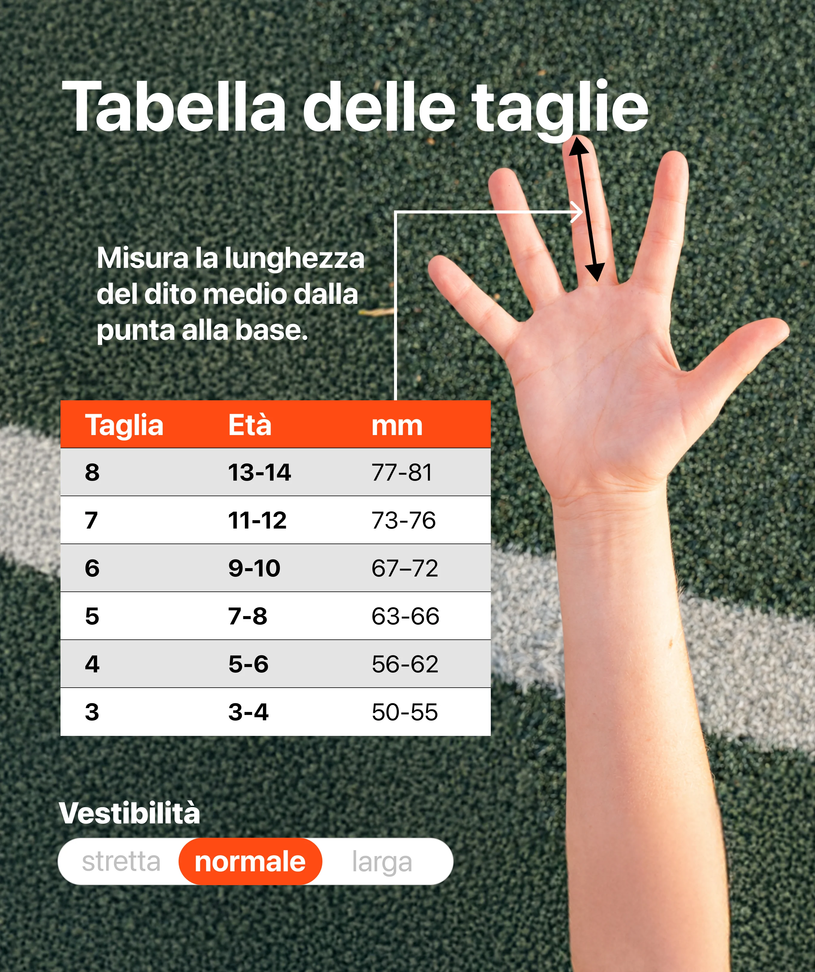 Immagine prodotto 4