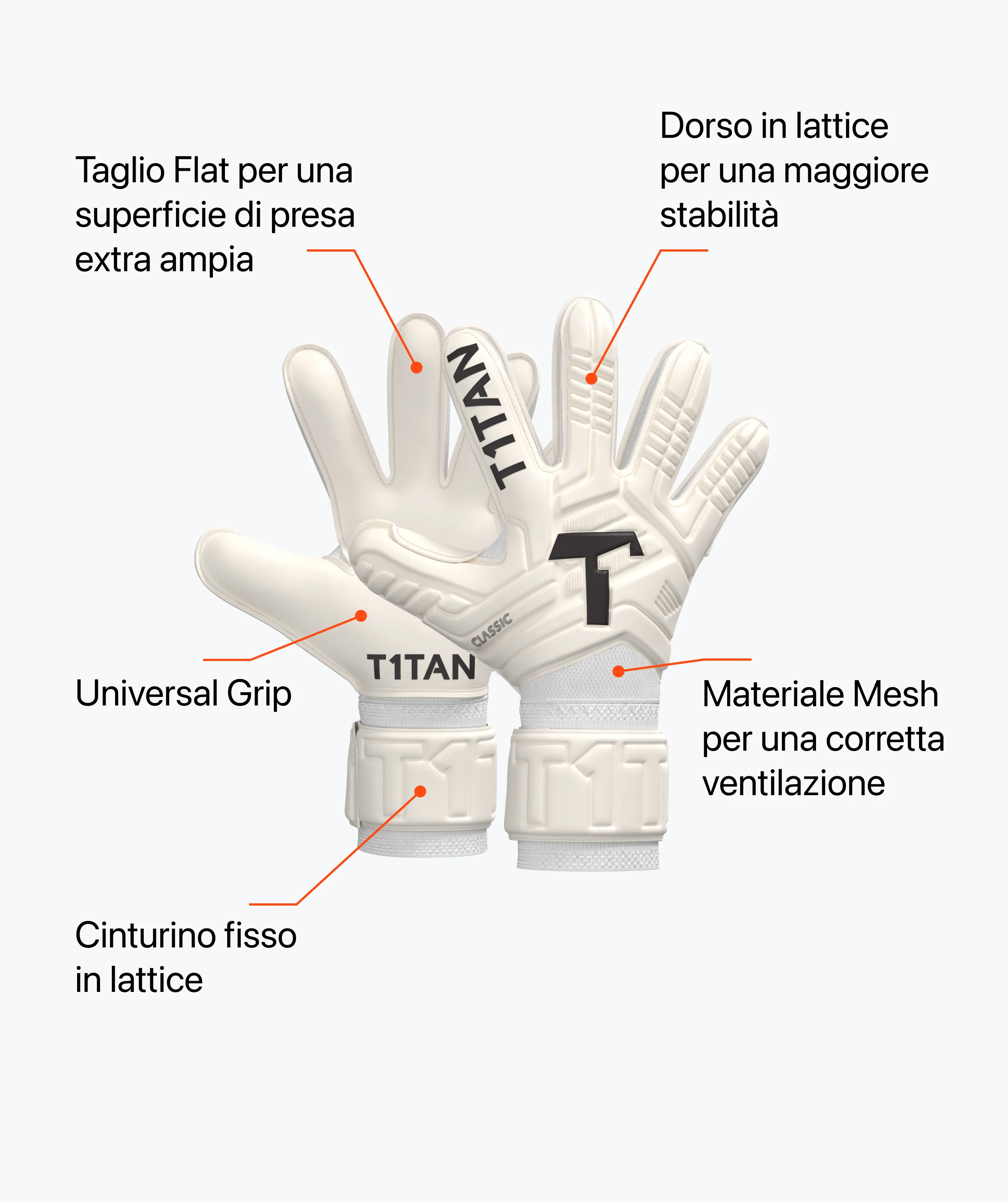 Immagine prodotto 5