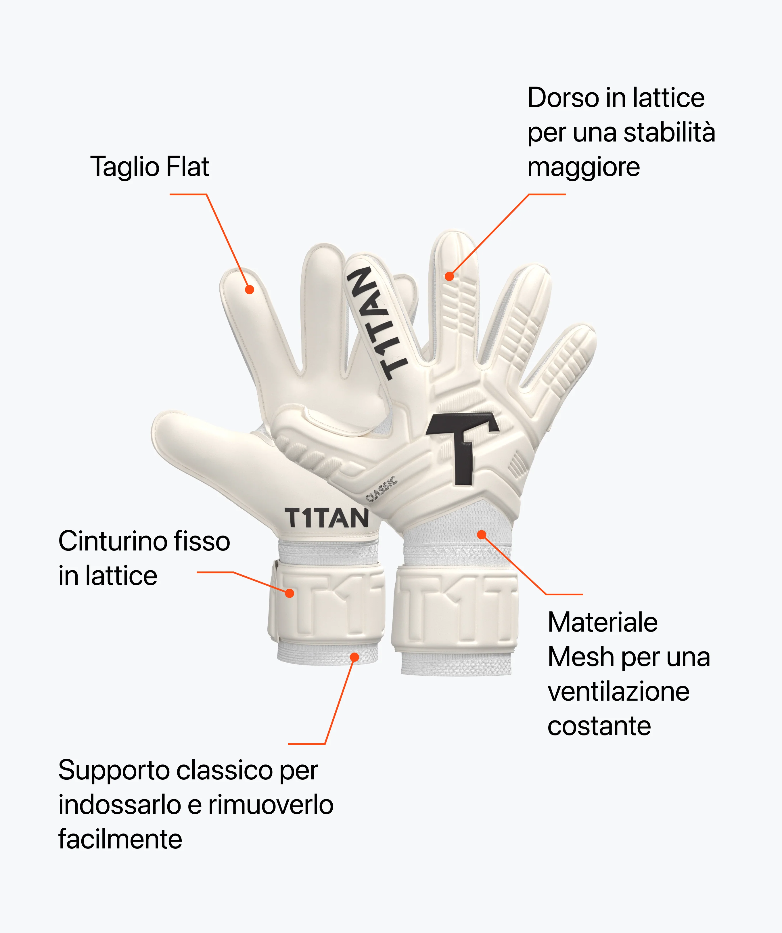 Immagine prodotto 6