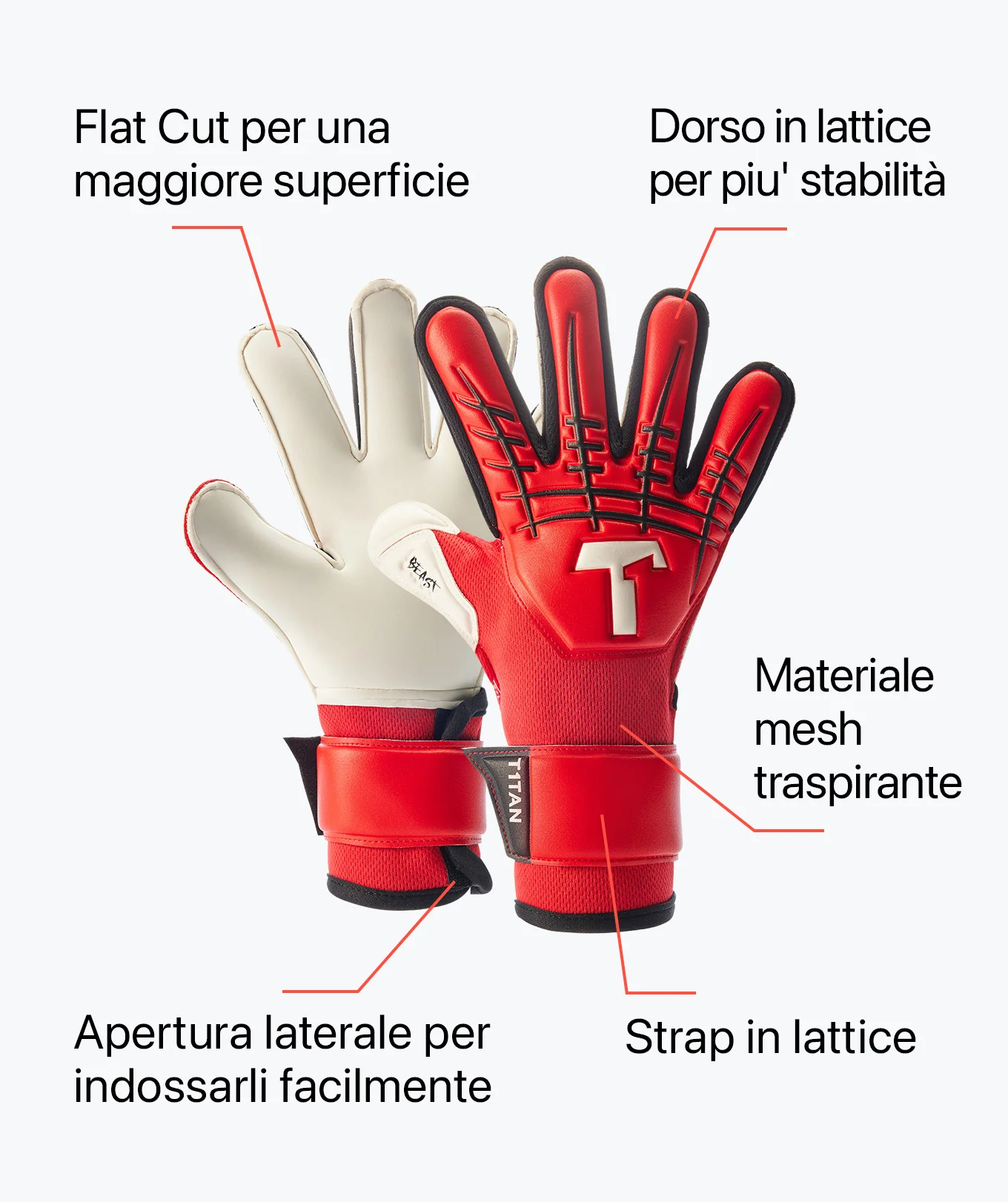 Immagine prodotto 5