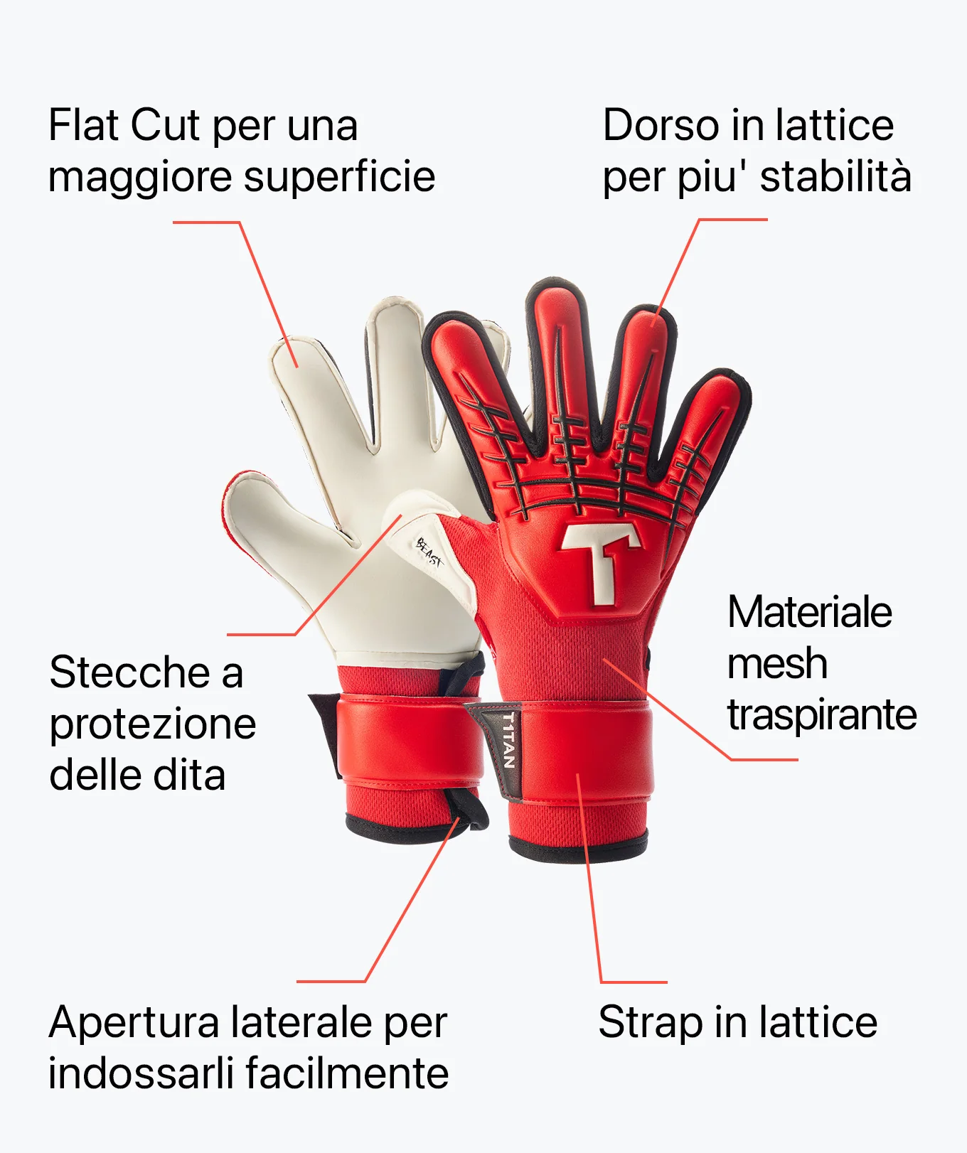 Immagine prodotto 5