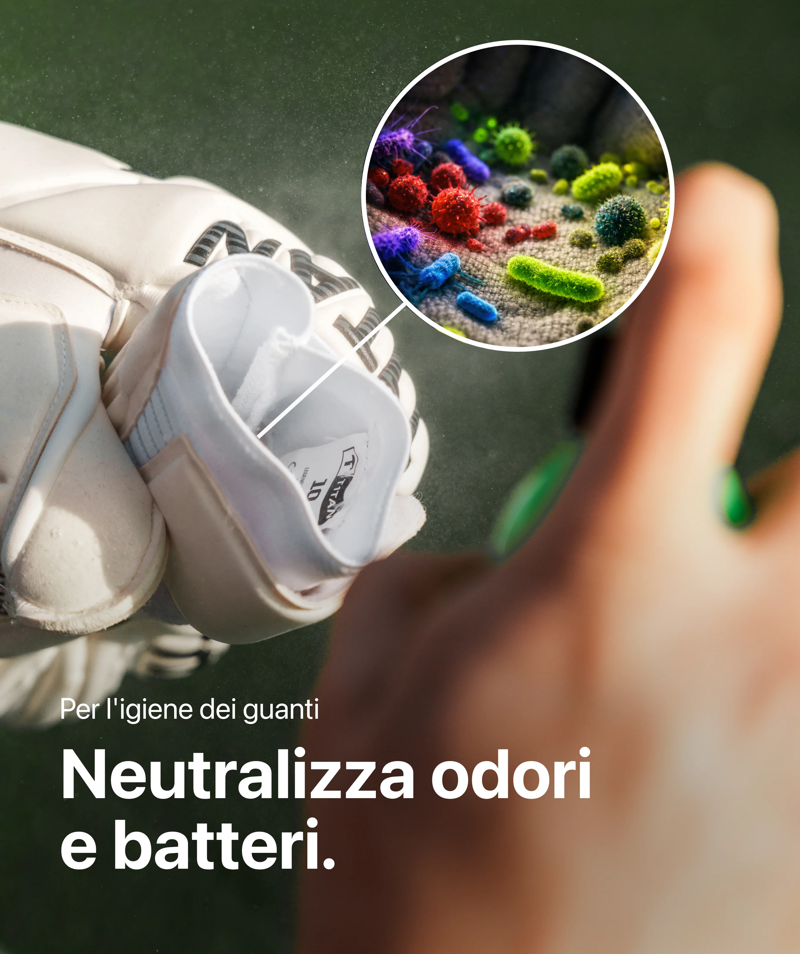 Immagine prodotto 4